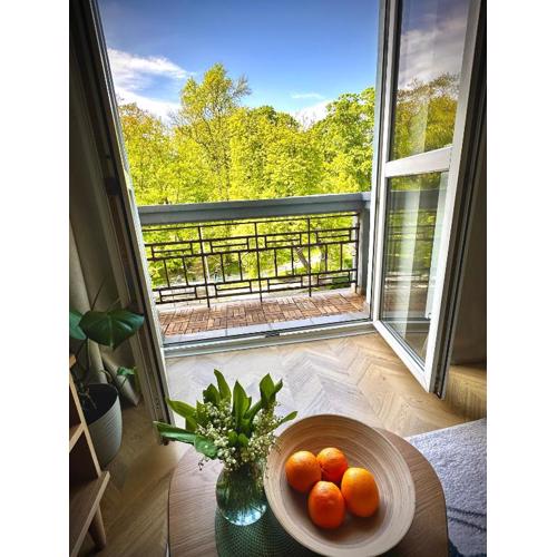 Park House Apartament Deluxe- free parking