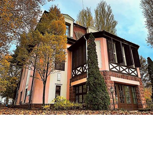 Party Villa Holiday Rent Balatonfoldvar