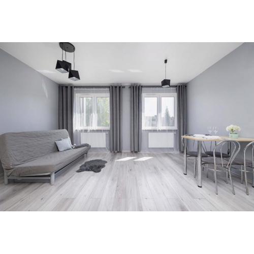 Partyzantów Monochrome & Modern Studio in Sosnowiec by Noclegi Renters