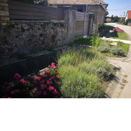 Patak Apartman, Diszel
