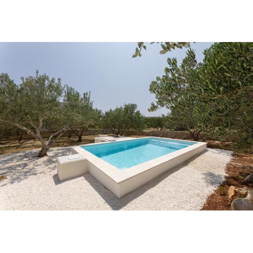 Peace & Pool in Olive Grove
