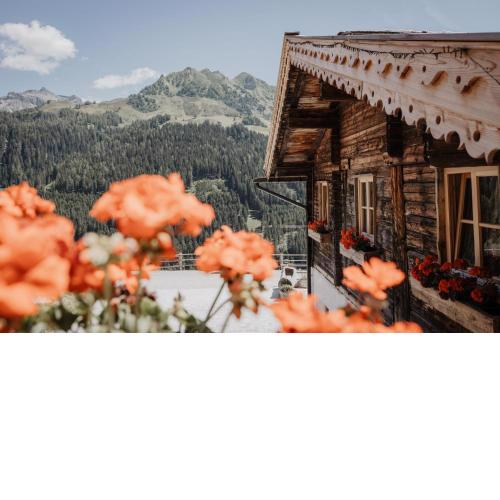 Peer Alm