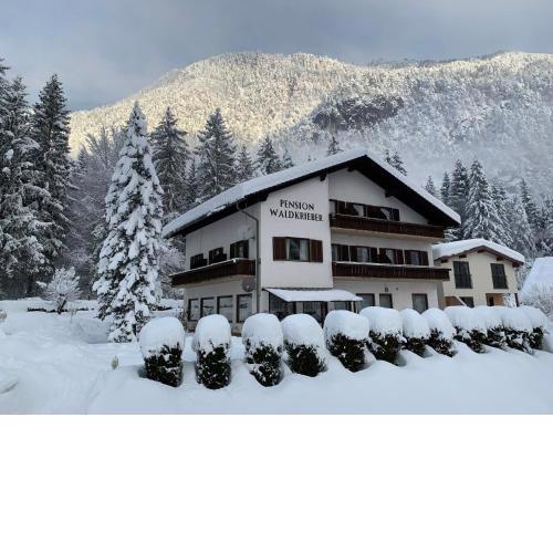 Pension & Apartments Waldkrieber