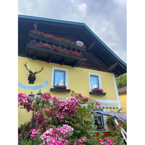 Pension Landhaus Ingrid B&B