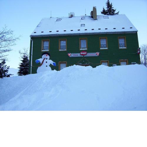 Pension Medvidek