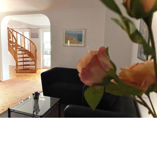 Penthouse in the old citycenter