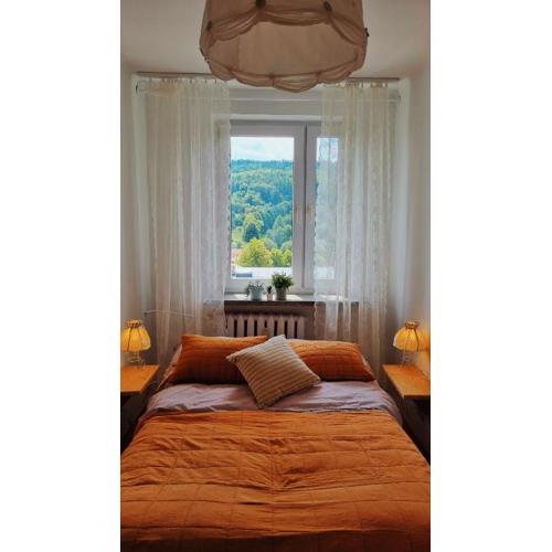 Penthouse Mały Belweder