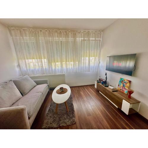 Penthouse one bedroom with a view of Zagreb