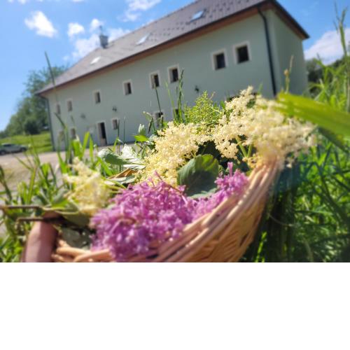 Penzion U Fořta