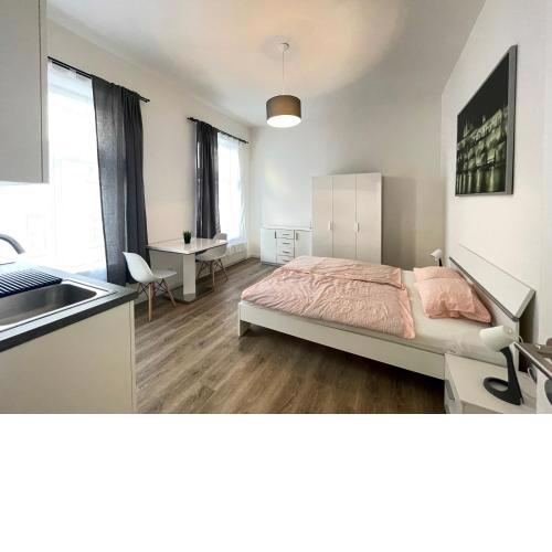 Petrska apartment in Prague 1