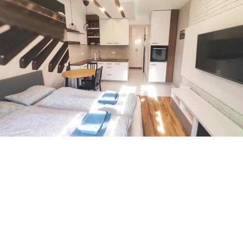 Piano Studio / Wasilewskiego 10 by Homeprime