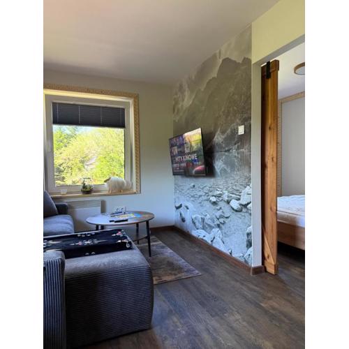 Piękne apartamenty z widokiem na góry , Sauna, kominek, darmowy parking , 5min od Zakopanego