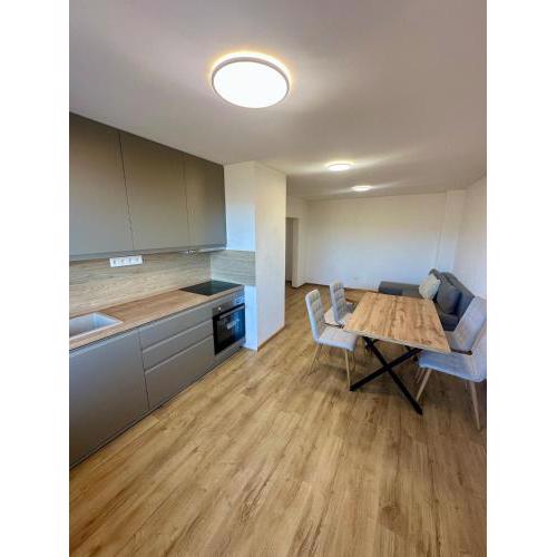 Pieninská apartment
