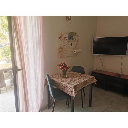 Pine Apartment