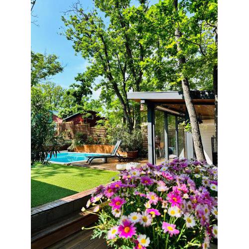 Pine-Wood Resort