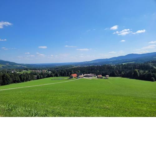 Pircherhof - Adults Only am Bauernhof
