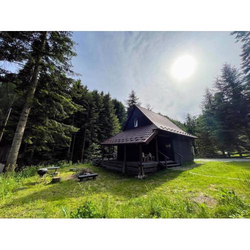 Piwniczna 187 - Vintage House