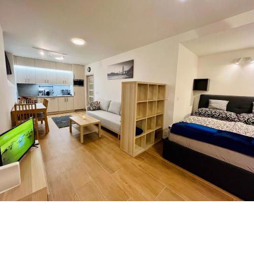 Pleasant Basement Apartment