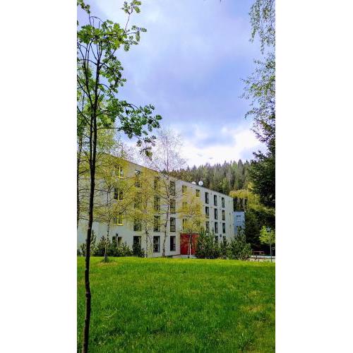 Plně vybavený apartmán v Harrachově pod Mumlavským vodopádem, ideální výchozí bod pro TURISTIKU, KLID a relax, u cesty na hřebeny, kousek do CENTRA, vybavený i pro DĚTI, WELLNESS a fitko naproti, ZAHRADA s ohništěm u domu