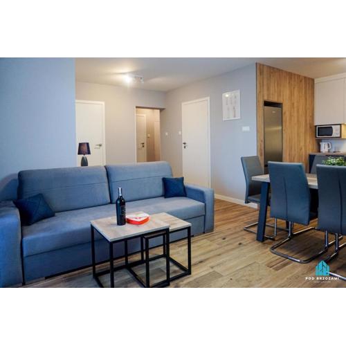 Pod Brzozami Apartamenty Villa Solny