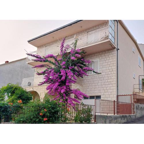 Podstrana Sea View Apartments