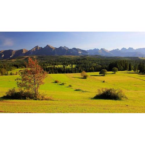 Pokoje Gościnne Panorama