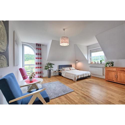 Pokoje i apartamenty Ferencówka Bieszczady