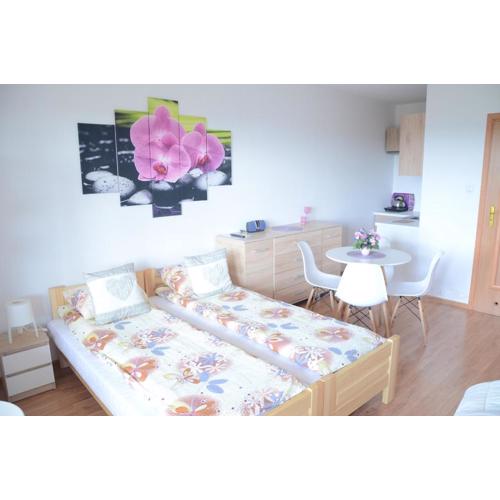 Pokoje nad Soliną 695-533-767