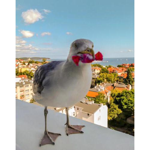 Pokoje przy plaży z widokiem na morze
