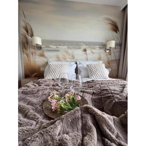 Polanki Aqua Apartament Wiola F007