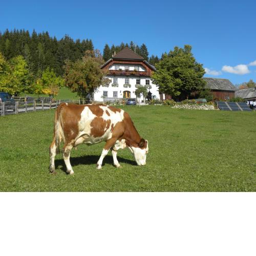 Polzhof
