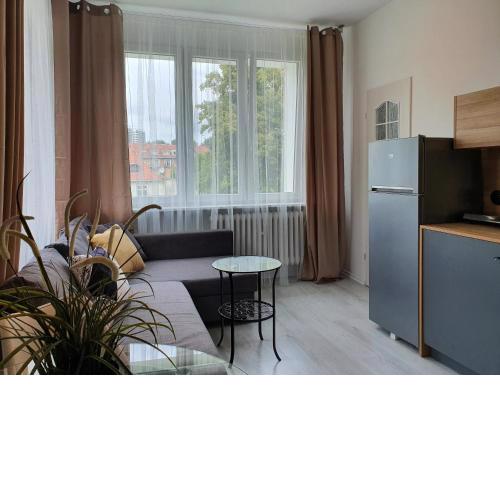POPP Studio Motl