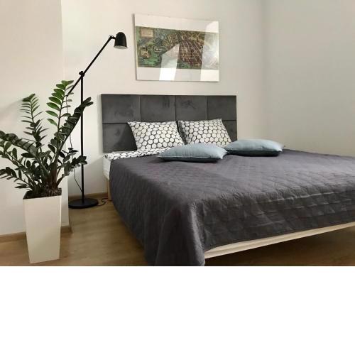 Poznan Rents - Apartamenty Stare Miasto parking gratis
