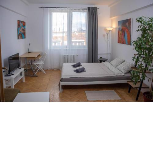 Practical flat Nivy near centre