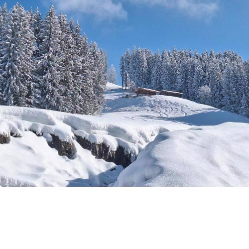 Prädasten-Chalet