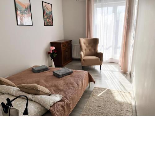Pradnicka Local Apartment