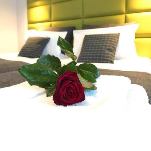 Premium Apartment - Chopin AirPort