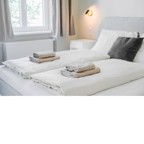 Premium apartment - walking distance to city center