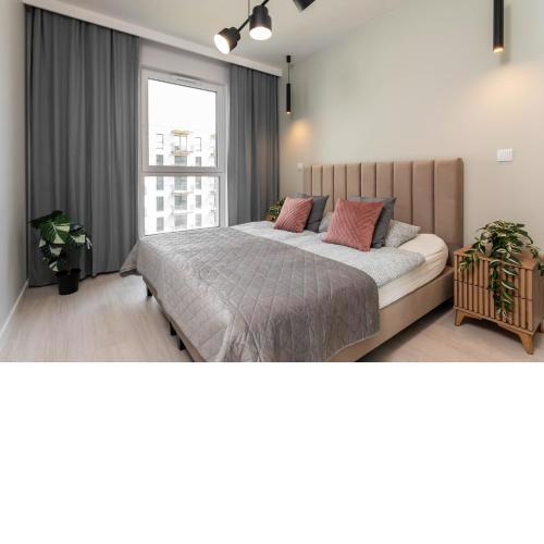 Premium Green Tea Apartment Herbu Oksza