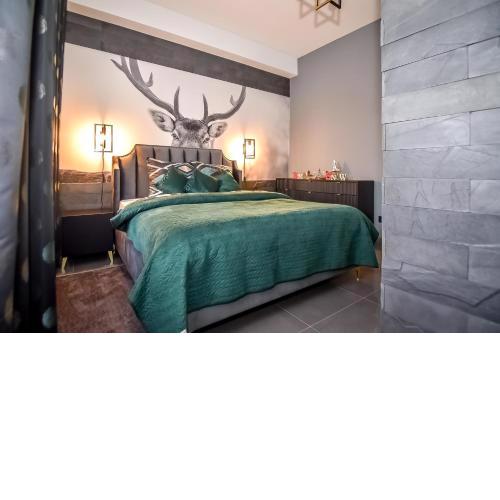 PRENIUM APARTMENTY 100m2 Czarna Turnia