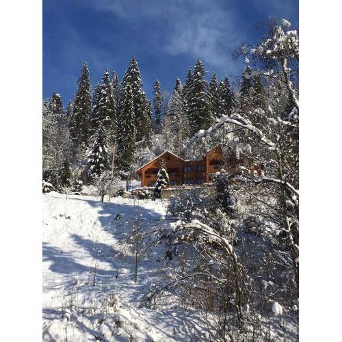 Privatna Sadiba Chalet