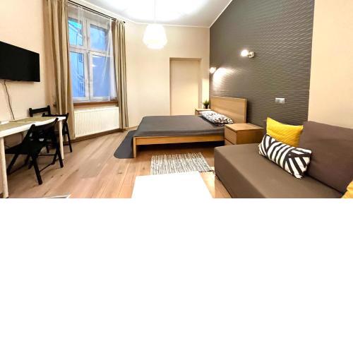 Przestronne Studio w centrum