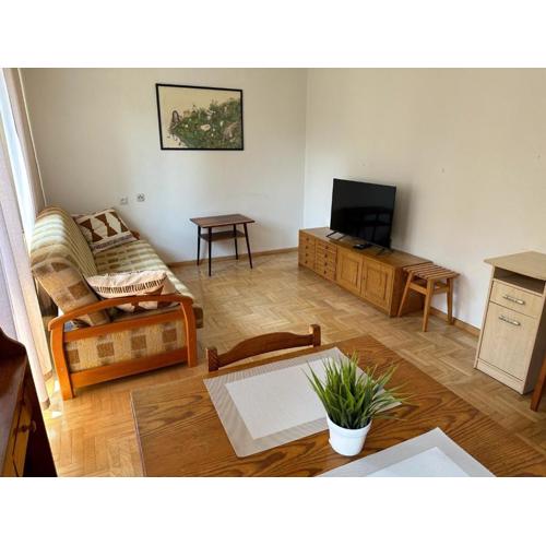 Przestronny apartament w centrum miasta - Mszana M11