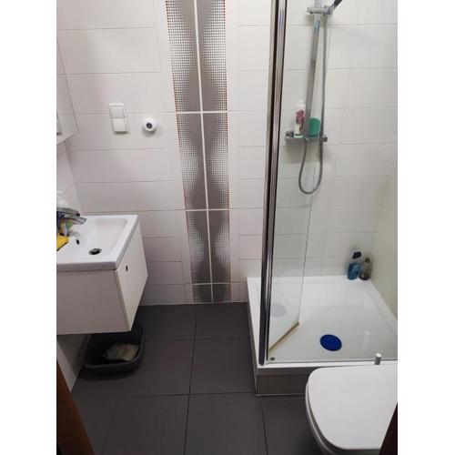 Przycup w Karkonoszach Apartamenty - Leśny Dom Przemysłowa 18a Karpacz