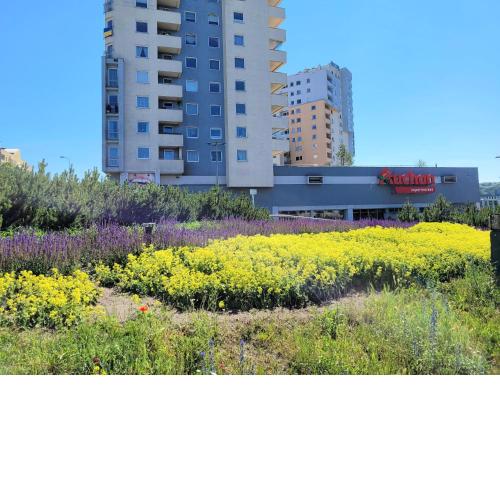 Przystanek Gdynia Redłowo