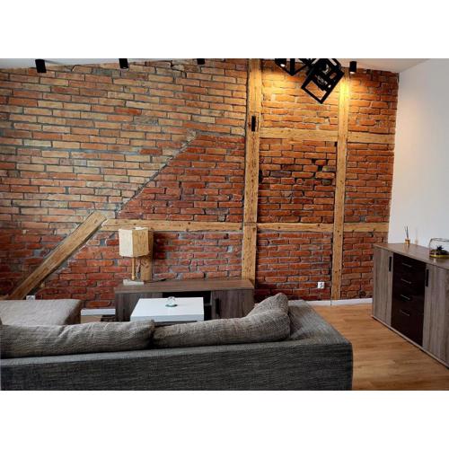 Przytulny Apartament w centrum miasta