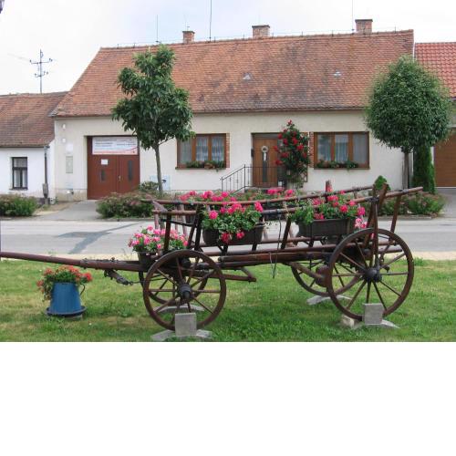 Půjčovna a ubytování pod Pálavou
