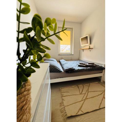 Pulsar Apartments