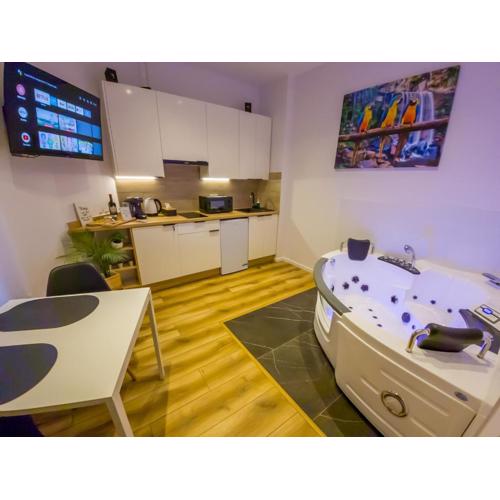 Punkt - Apartamenty z jacuzzi w centrum Katowic