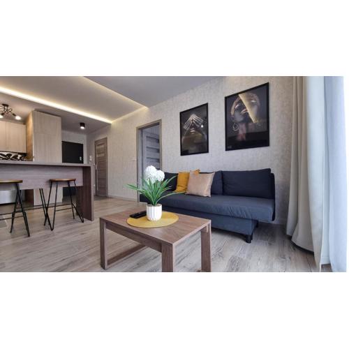 Q Apart PL 2 lub 3 pokojowe klimatyzowane apartamenty przy Manufakturze z garażem Gratis, FV